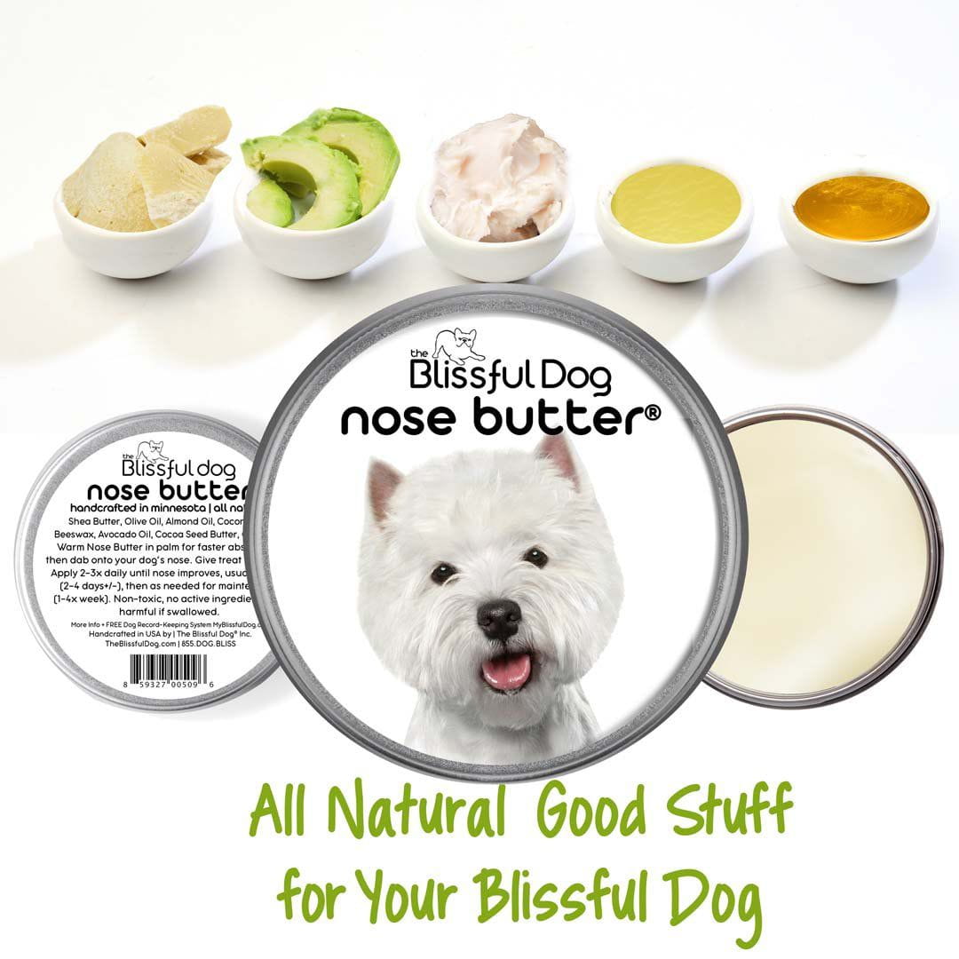 West Highland White Terrier nose is dry
